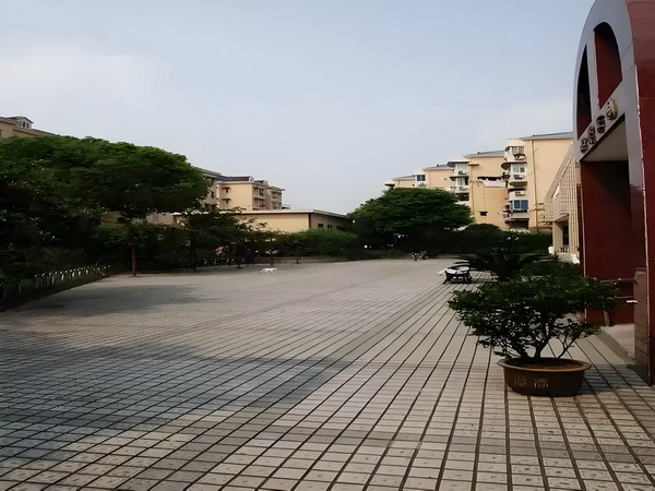 丫环有点腐